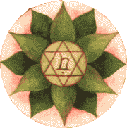 Die Autorin